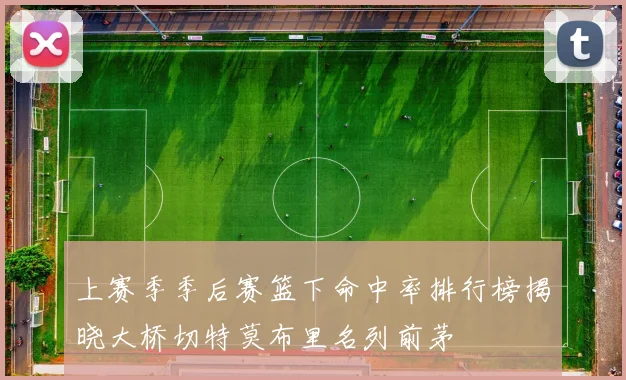 上赛季季后赛篮下命中率排行榜揭晓大桥切特莫布里名列前茅